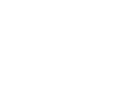 Investor-1